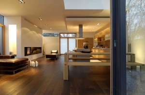 Wohnen / Essen mit Kamin